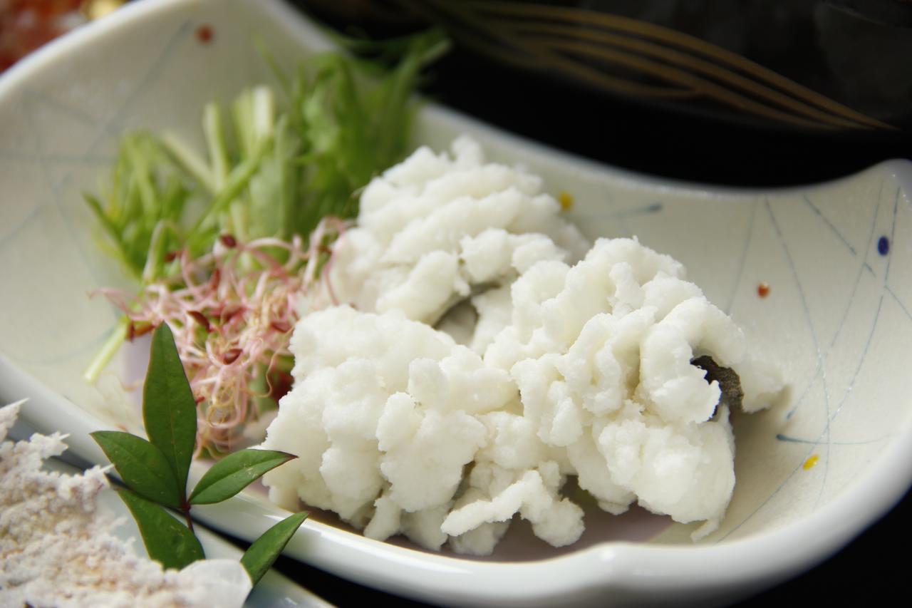 Ryokan Hinoshimasou Kami Amakusa Esterno foto